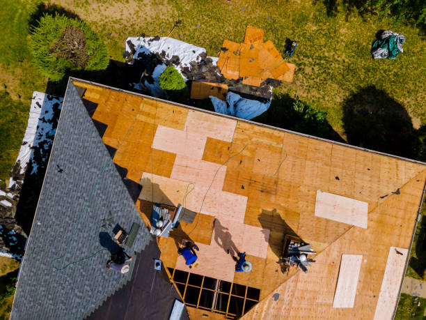 Roof Gutter Cleaning in Selma, CA